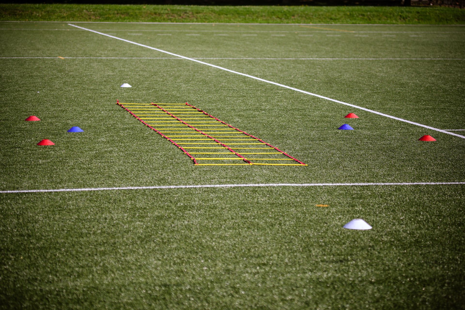 An agility ladder and small cones laid out on a turf field.